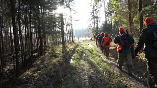 Осенняя пора - начало традиционных охот в Беларуси