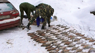 Рыбаков-нелегалов с сетями и десятками килограммов рыбы задержали в Гродно и Жлобинском районе