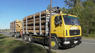 Когда деловая древесина по цене дров?